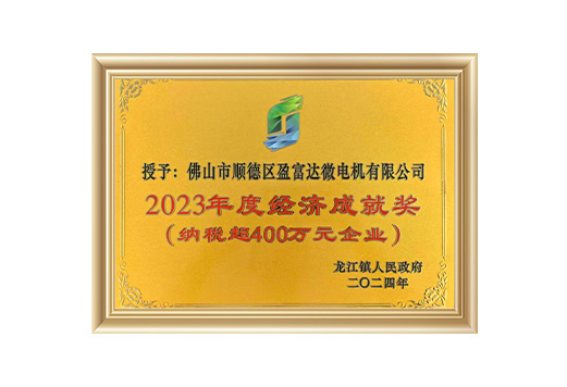 2023年度经济成就奖