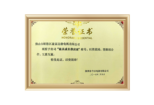 最具成长供应商